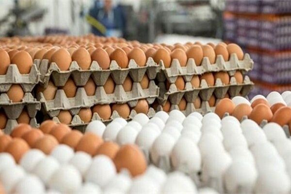 قیمت جدید تخم‌مرغ در بازار روز اعلام شد