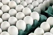 قیمت تخم‌مرغ در سال جدید اعلام شد!