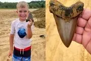 پسر بچه شیطون فسیل چند میلیون ساله را پیدا کرد+ عکس
