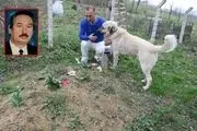 جدا نشدن عجیب سگ باوفا از قبر صاحبش!+ عکس