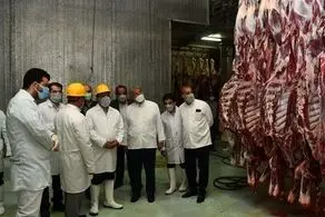 هشدار رشد قیمت گوشت با افزایش عرضه دام به کشتارگاه‌‌