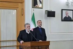 جزییات دیدار مهم حسین امیرعبداللهیان و زیاد نخاله در تهران