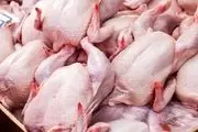 قیمت مرغ در روزهای آینده کاهش می یابد