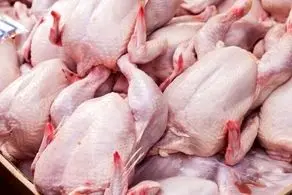 قیمت هر کیلو مرغ در بازار 