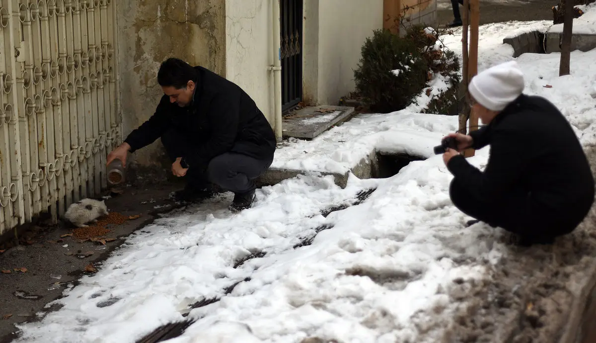 برف یک متری در راه این استانهای ایران؛ فورا بخوانید!


