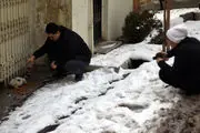 زمان بارش برف در تهران مشخص شد!