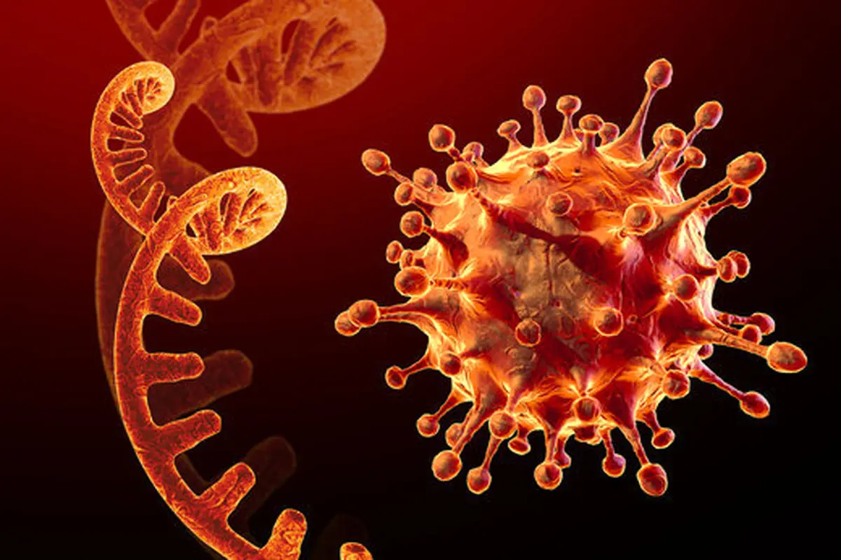 آیا ویروس کرونا کاملا از بین رفته است؟