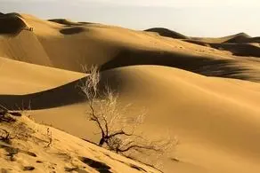 ماجرای مفقود شدن ۸ نفر در کویر دامغان