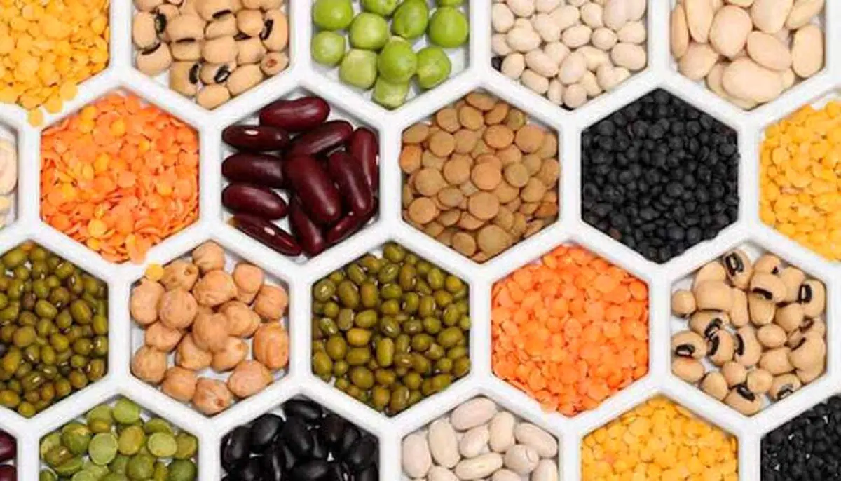 قیمت حبوبات در بازار امروز چهارشنبه۲۴ اردیبهشت ۱۴۰۴/ لوبیاچیتی چند شد؟ + جدول