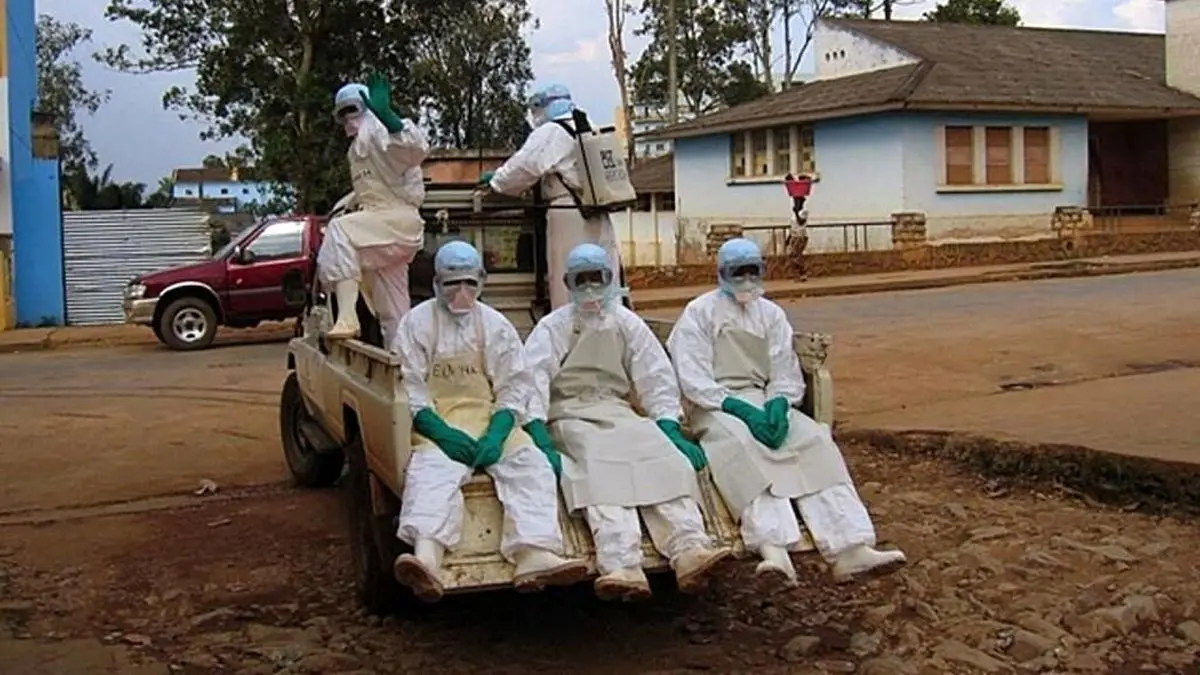 شناسایی ویروس مرگبار و خطرناک‌تر از کرونا در آفریقا!/بازهم پای خفاش‌ها در میان است