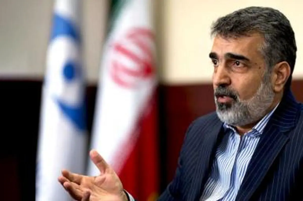 برنامه ملاقات‌های گروسی در تهران/ کمالوندی: مذاکرات مفصلی را با آژانس بین‌المللی انرژی اتمی داشتم