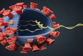 روش‌های جدید کرونا برای فریب سیستم ایمنی بدن