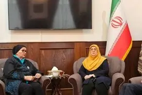 دیدار مهاجرانی و وزیر خارجه پیشین بوسنی 