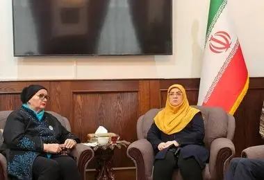 دیدار مهاجرانی و وزیر خارجه پیشین بوسنی 